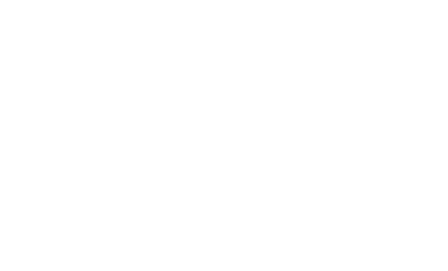 Stukadoorsbedrijf de Witte Lotus